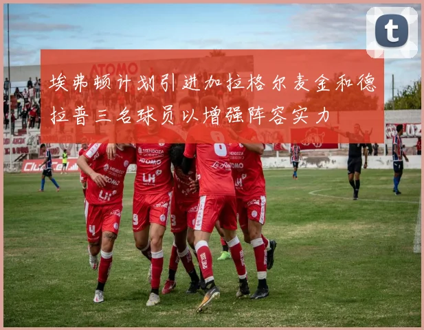 埃弗顿计划引进加拉格尔麦金和德拉普三名球员以增强阵容实力
